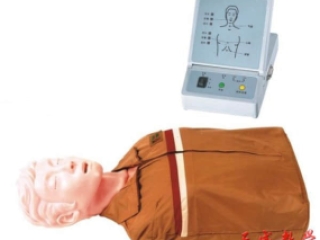 溺水急救模型,半身心肺复苏,淹水急救模型