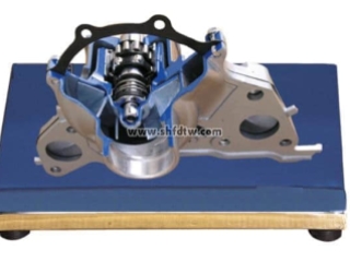 水泵解剖模型,水泵教学模型