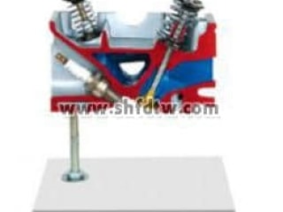 气缸盖解剖解剖模型