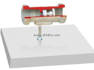 单向阀解剖模型