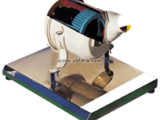 空气滤清器组件解剖模型,空气滤清器组件实验模型