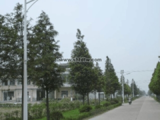 太阳能LED路灯