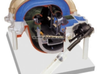 感应开关系统解剖模型,汽车教学实训设备