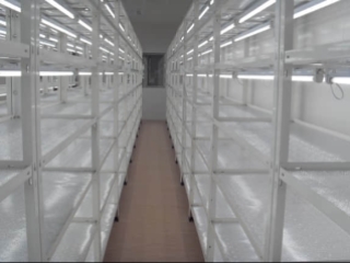 苗木培养架,苗木组培架,苗木炼苗架