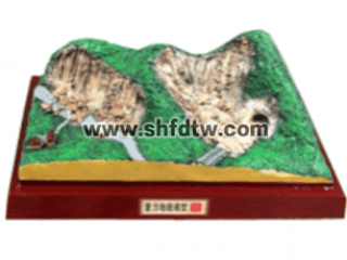 重力地貌模型 重力地貌演示教学模型 重力地貌模型教学器材