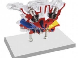 奥迪5阀气缸盖解剖模型,奥迪气缸盖解剖,奥迪气缸盖教学设备