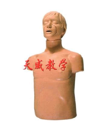 半身心肺复苏训练模拟人(图1)