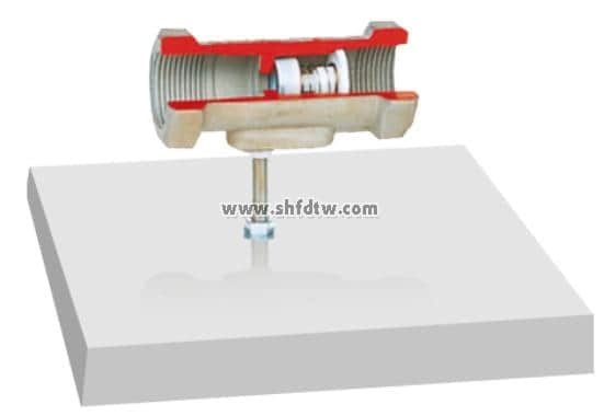 单向阀解剖模型(图1)