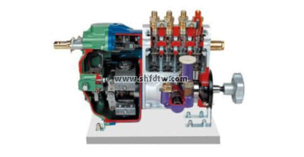 直列喷射泵解剖模型(RSF)