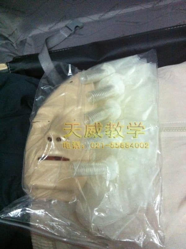 TW-CPR480高级全自动电脑心肺复苏模拟人(图4)