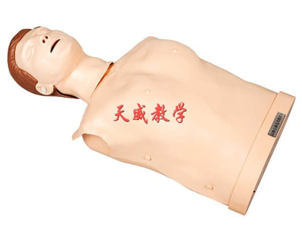 简易型半身模拟人,半身心肺复苏,交通意外急救模拟人(图1)