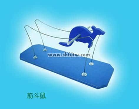 奇异的翻转环 奇异的翻转环教学设备 奇异的翻转环仪器设备(图12)