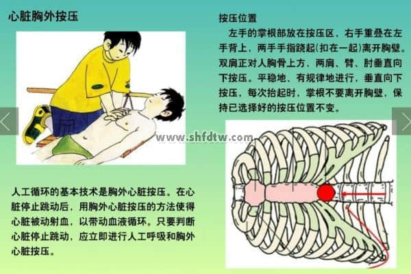 儿童复苏模拟人是学校必备教学工具之一(图3)