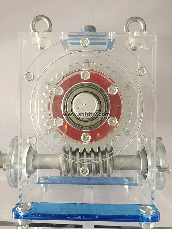 减速器模型 透明减速器模型 减速器透明教学模型 减速器教具(图1)