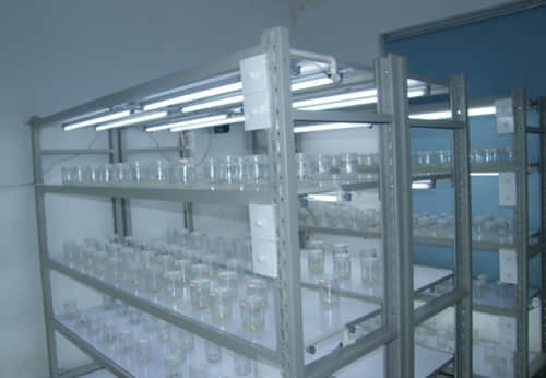 OGP-2培养架，组培架，炼苗架