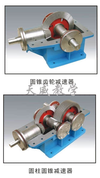 铝合金减速器模型,减速器拆装模型,双级展开式圆柱齿轮(图1)